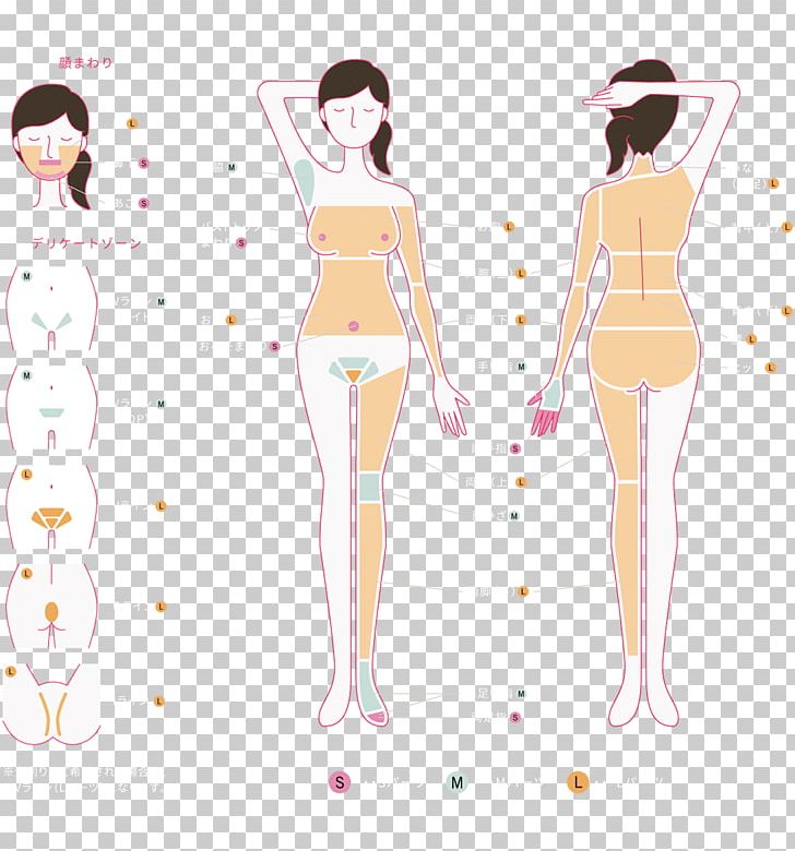 Hair Removal Thigh Human Leg Day Spa PNG, Clipart, Abdomen, Anime, Arm, Art, Beauty Free PNG Download