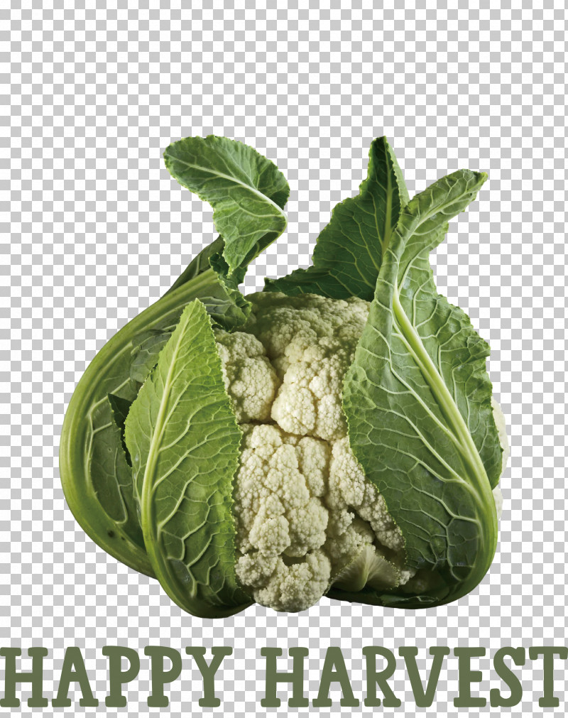 Happy Harvest Harvest Time PNG, Clipart, Cauliflower, Drawing, Happy Harvest, Harvest Time, Herb Free PNG Download