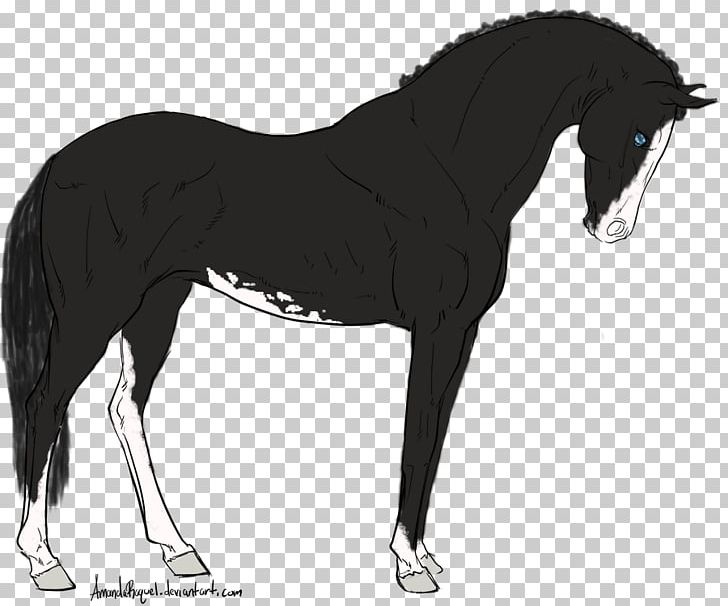 Mane Foal Stallion Mustang Mare PNG, Clipart, Bridle, English Riding, Equestrian, Equestrian Sport, Fictional Character Free PNG Download