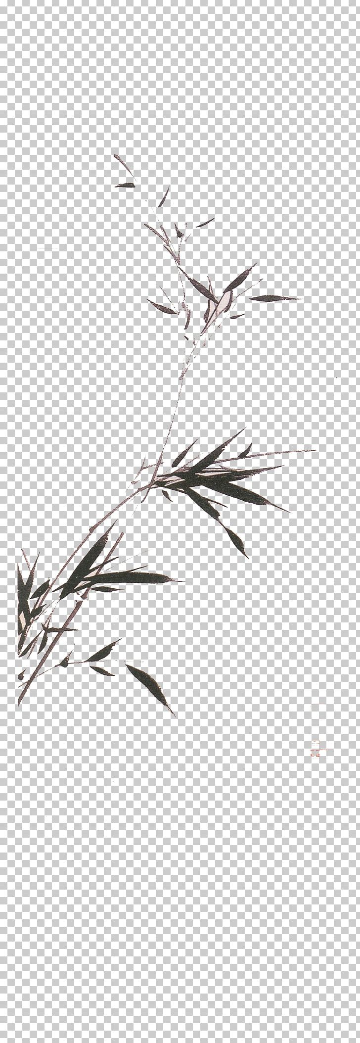 China Bamboo Frank Van Haaren Bamboe India Ink PNG, Clipart, Bamboo Leaves, Black, Black Color, Branch, Chinese Lantern Free PNG Download