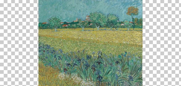 Van Gogh Museum View Of Arles With Irises In The Foreground The Letters Of Vincent Van Gogh PNG, Clipart, Art, Art Museum, Crop, Farm, Flower Free PNG Download
