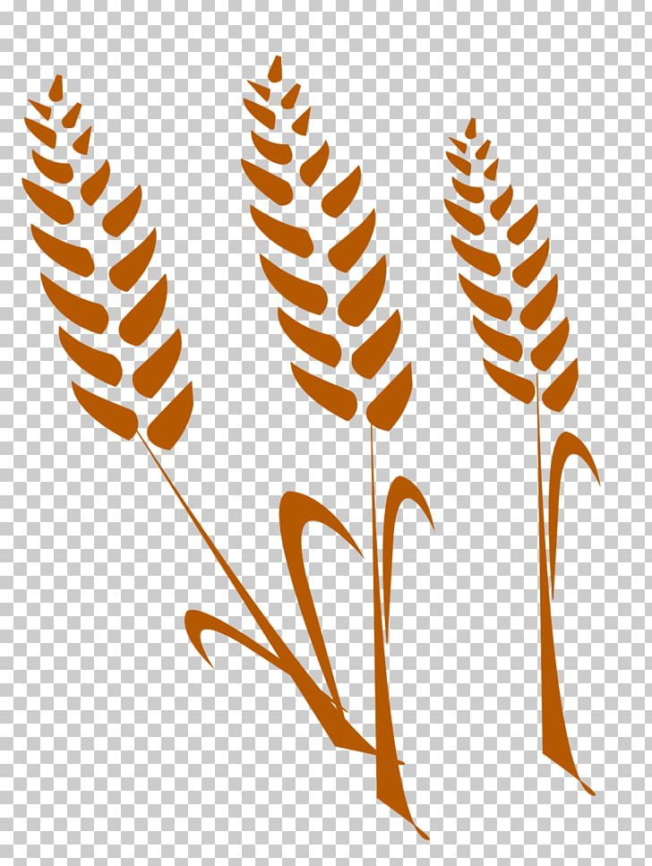 Wheat Cereal Agriculture Gratis PNG, Clipart, Agriculture, Branch, Cereal, Commodity, Crop Free PNG Download