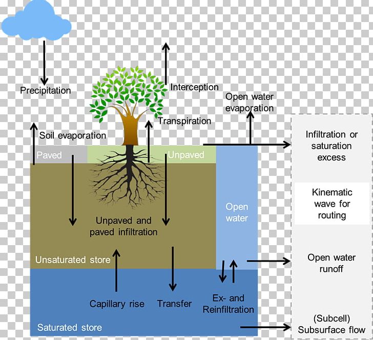 Line Water Tree Angle Diagram PNG, Clipart, Angle, Art, Diagram, Line, Model Free PNG Download