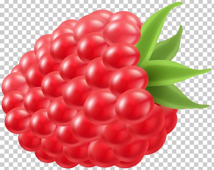 Raspberry Fruit Lime PNG, Clipart, Auglis, Berry, Blueberry, Cherry, Cranberry Free PNG Download