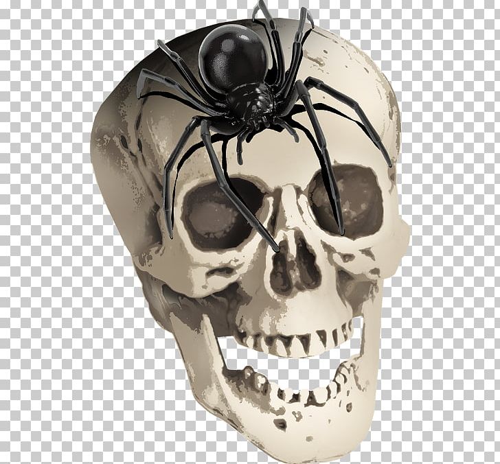 Spider Skull Skeleton ForgetMeNot PNG, Clipart, Animal, Art, Black, Black Spider, Bone Free PNG Download