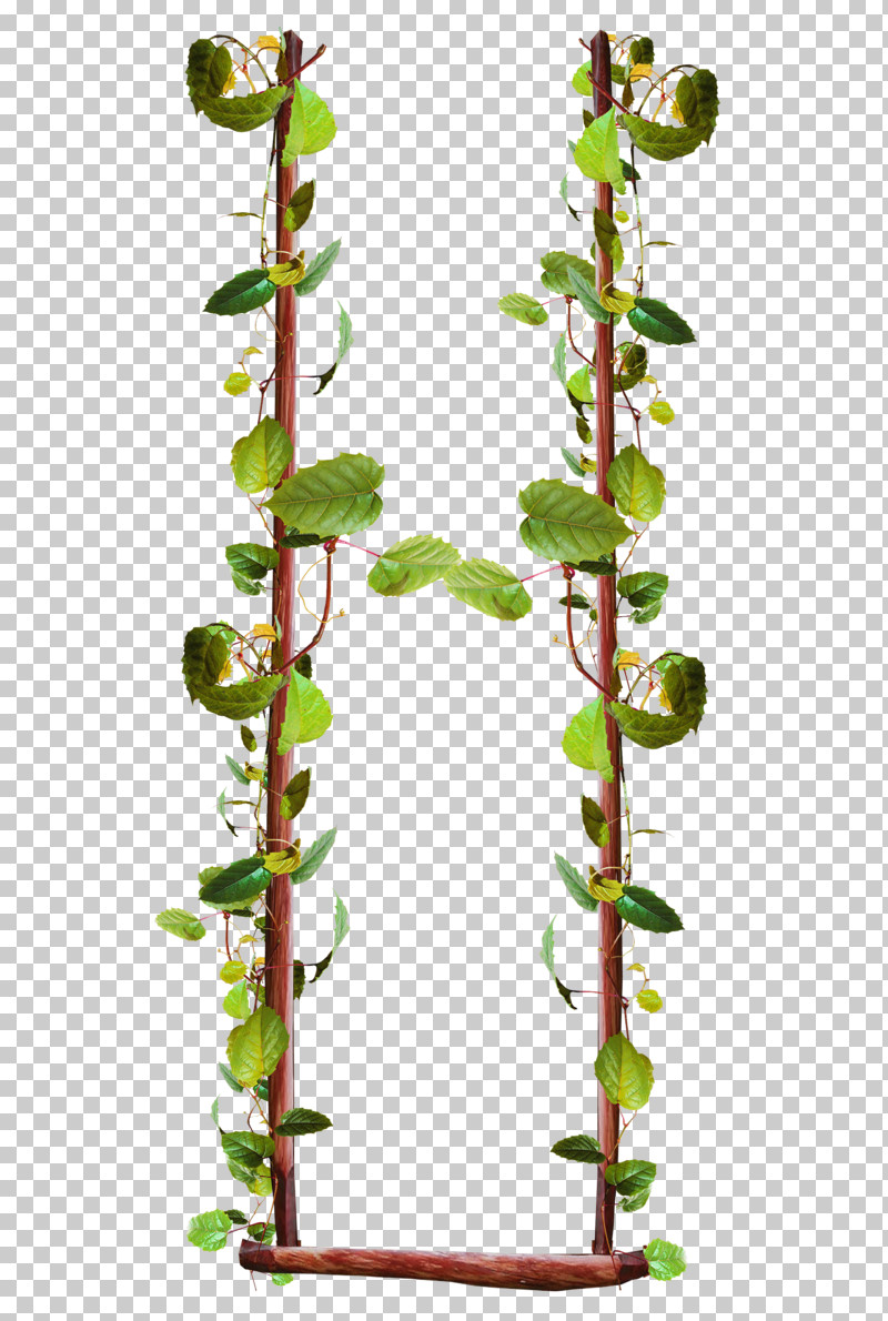 Flower Plant Plant Stem Leaf Twig PNG, Clipart, Branch, Flower, Leaf, Plant, Plant Stem Free PNG Download