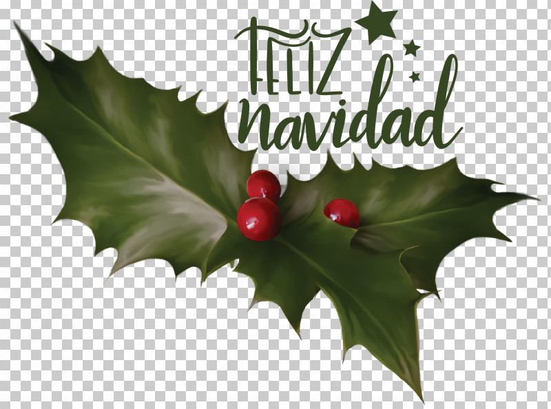 Feliz Navidad Merry Christmas PNG, Clipart, Aquifoliales, Biology, Feliz Navidad, Fruit, Holly Free PNG Download