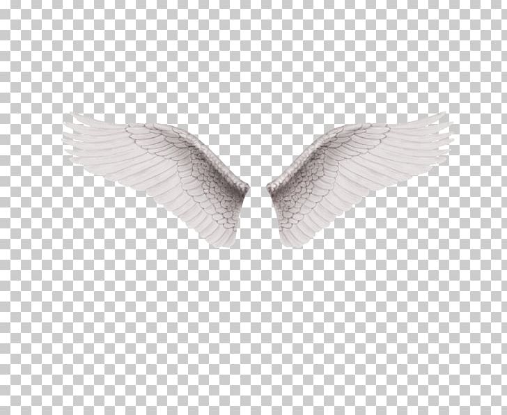 Alas Software PNG, Clipart, Alas, Angel, Angel Wing, Angel Wings, Angle Free PNG Download