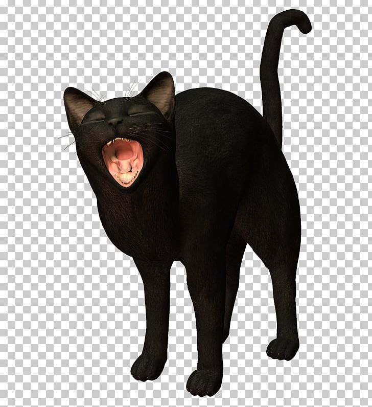 Black Cat Bombay Cat Havana Brown Malayan Cat Domestic Short-haired Cat PNG, Clipart, Animal, Asian, Black, Black Cat, Bombay Free PNG Download