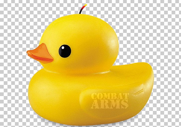 Portable Network Graphics Transparency Duck PNG, Clipart, Animals, Beak, Bird, Bomb, Desktop Wallpaper Free PNG Download