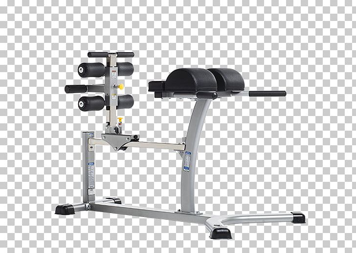 Hamstring Gluteal Muscles Gluteus Maximus Bench PNG, Clipart, Ell, Erector Spinae Muscles, Exercise Equipment, Exercise Machine, Fitness Centre Free PNG Download
