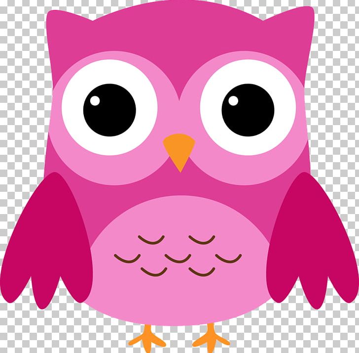 Little Owl Barn Owl PNG, Clipart, Animals, Barn Owl, Beak, Bird, Bird Of Prey Free PNG Download