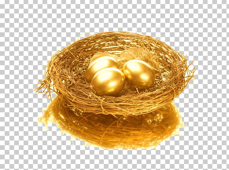 Bird Nest Egg PNG, Clipart, 401k, Animals, Bird, Bird Nest, Birds Nest Free PNG Download