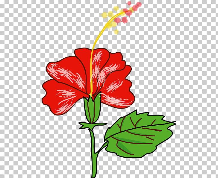 Hawaii Shoeblackplant Flower PNG, Clipart, Art, Artwork, Cartoon, Cartoon Hibiscus, Cut Flowers Free PNG Download