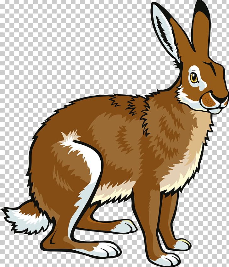 Arctic Hare European Hare Snowshoe Hare Alaskan Hare PNG, Clipart, Alaskan Hare, Animal Figure, Animals, Arctic Hare, Beak Free PNG Download