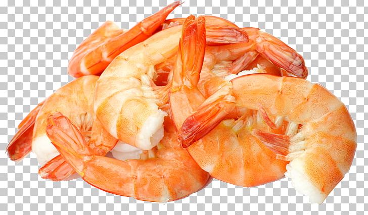 Caridea Scampi Prawns Seafood Shrimp PNG, Clipart, Animal Source Foods, Bologna Sausage, Caridea, Caridean Shrimp, Customer Free PNG Download