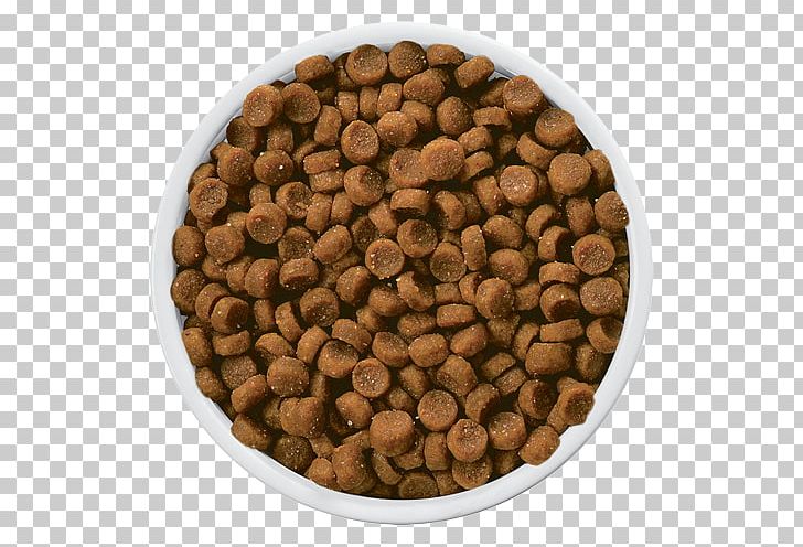 Cat Food Dog Hill's Pet Nutrition Kidney PNG, Clipart, Animals, Cat, Cat Food, Diet, Disease Free PNG Download