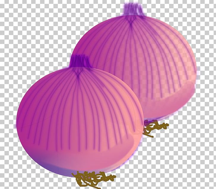 cartoon red onion