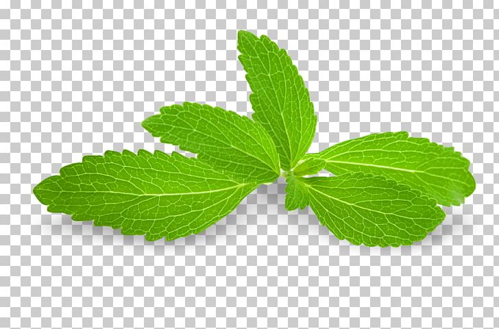 Stevia Peppermint Sugar Substitute Ingredient PNG, Clipart, Acesulfame Potassium, Computer Icons, Desktop Wallpaper, Encapsulated Postscript, Extract Free PNG Download