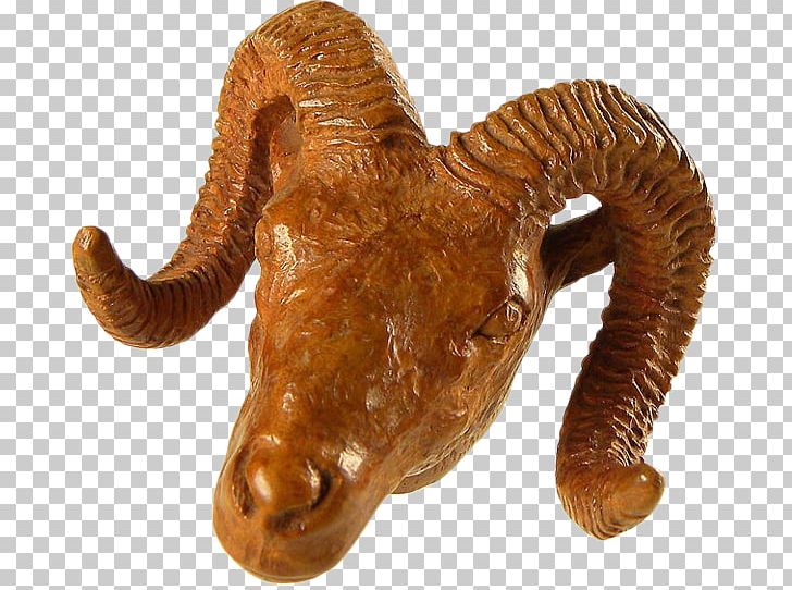 Terrestrial Animal PNG, Clipart, Animal, Bely, Bizarre, Horn, Odd Free PNG Download
