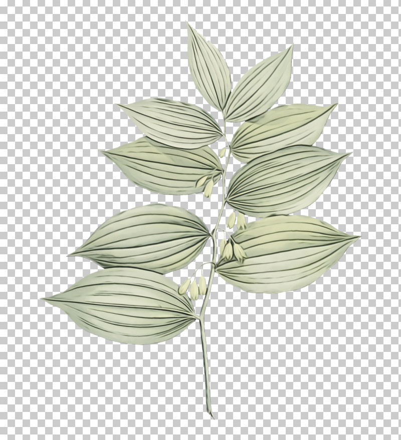 Plant Stem Leaf Citizen Science Tourism Travel PNG, Clipart, Biology, Citizen Science, Flower, Leaf, Paint Free PNG Download