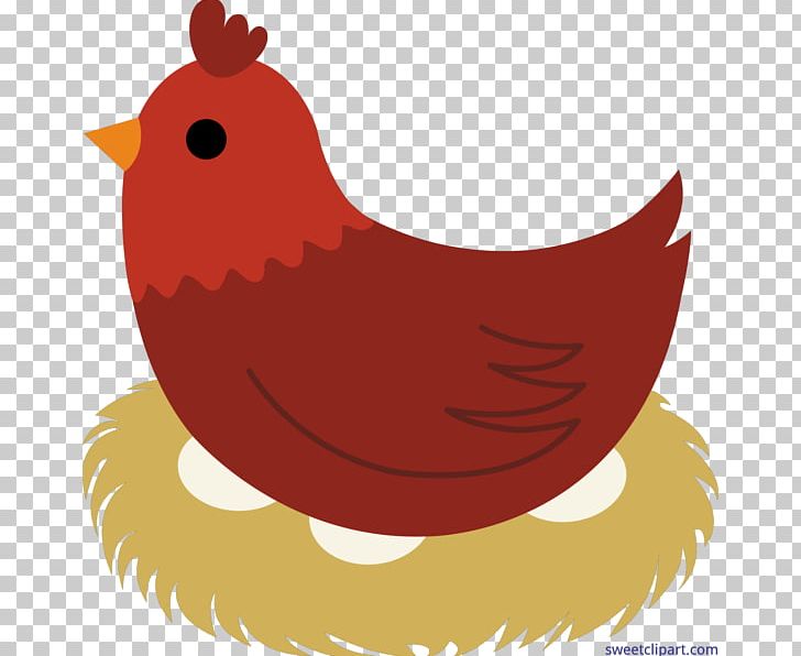 Chicken Egg Hen PNG, Clipart, Animals, Art, Beak, Bird, Cardinal Free PNG Download