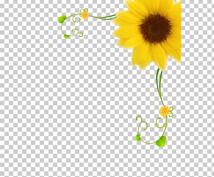 Common Sunflower Motif Pattern PNG, Clipart, Daisy Family, Decorative, Encapsulated Postscript, Flower, Flowers Free PNG Download