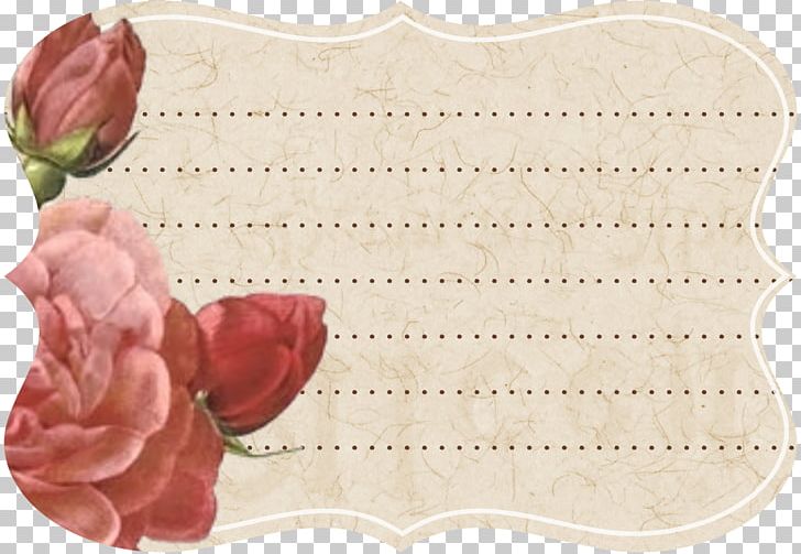 Pink Paper Color Earring Rose PNG