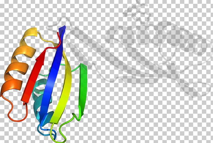 Organism PNG, Clipart, Acetolactate Synthase, Art, Joint, Line, Organism Free PNG Download