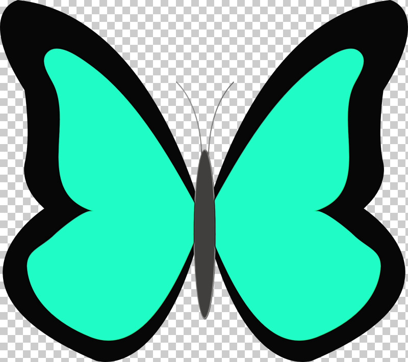 Butterfly Green Moths And Butterflies Wing Symmetry PNG, Clipart, Brushfooted Butterfly, Butterfly, Green, Insect, Moths And Butterflies Free PNG Download