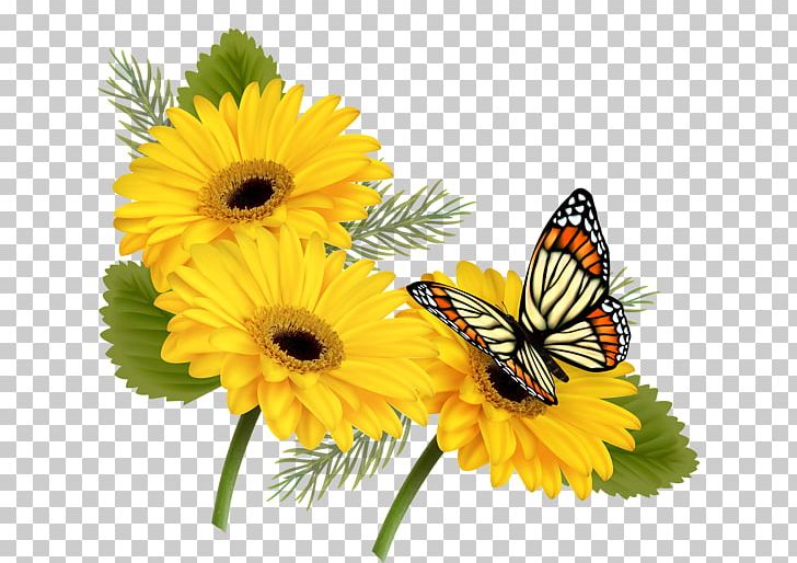 Butterfly Flower PNG, Clipart, Annual Plant, Brush Footed Butterfly, Butterfly, Chrysanths, Color Free PNG Download