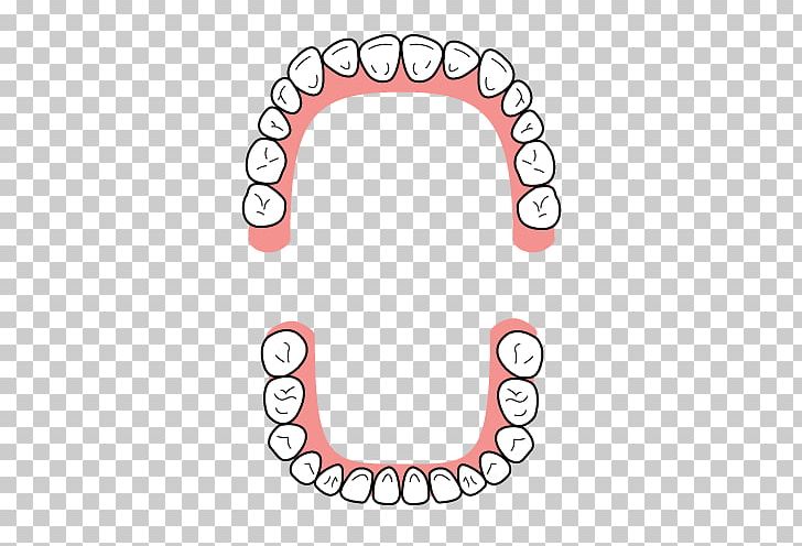 Dentition Tooth Dental Braces Dentist Bridge PNG, Clipart, Area, Auto Part, Body Jewelry, Bridge, Circle Free PNG Download