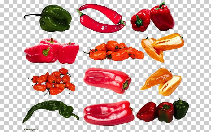 Habanero Piquillo Pepper Bell Pepper Tabasco Pepper Serrano Pepper PNG, Clipart, Bell Pepper, Bell Peppers And Chili Peppers, Cayenne Pepper, Chili Pepper, Depositfiles Free PNG Download