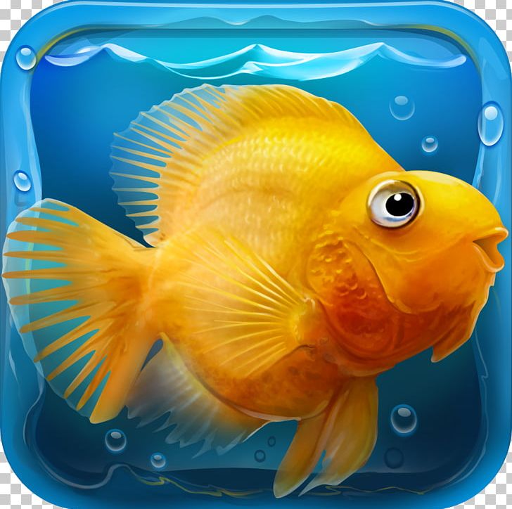 IQuarium Relaxing Game Android PNG, Clipart, Android, App Store, Aquarium, Beak, Bony Fish Free PNG Download