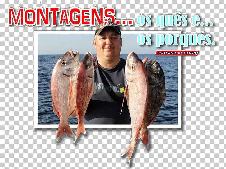 Jigging Fishing Pagre International Waters Logbook PNG, Clipart, Advertising, Bead, Blackspot Seabream, Boat, Crab Free PNG Download