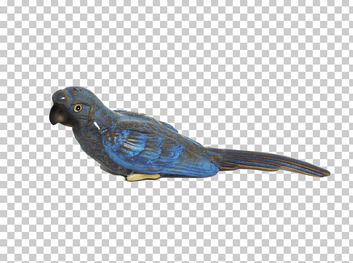 Parakeet Cobalt Blue Feather Beak PNG, Clipart, Animals, Arara, Beak, Bird, Blue Free PNG Download
