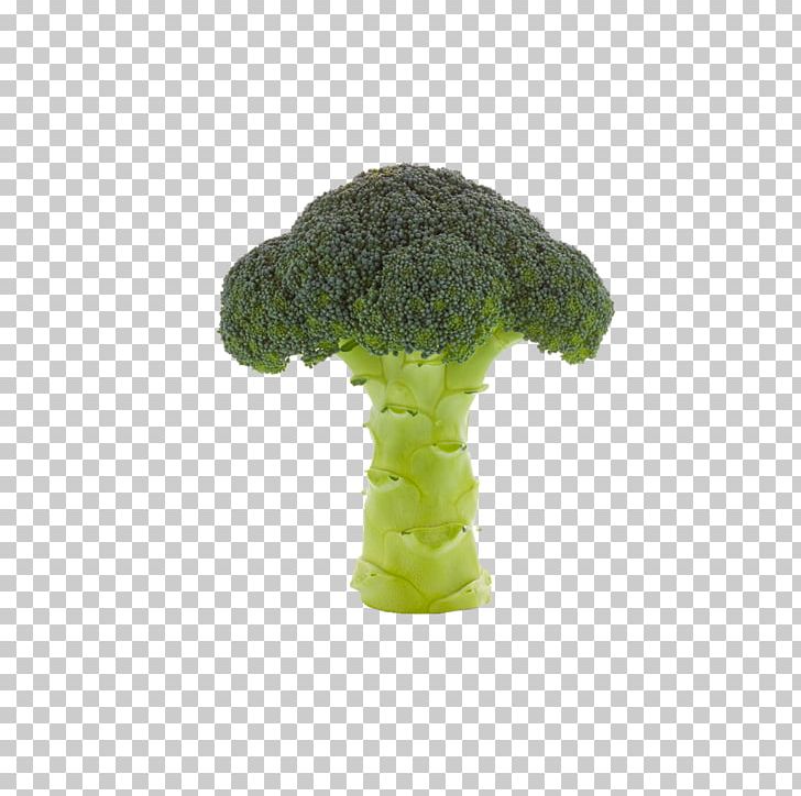 Broccoli Vegetable Cauliflower PNG, Clipart, Blue, Broccoli, Broccoli 0 0 3, Broccoli Art, Broccoli Sketch Free PNG Download