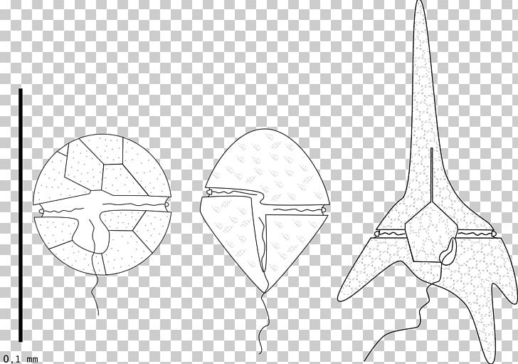 Line Art Sketch PNG, Clipart, Angle, Arm, Art, Artwork, Black And White Free PNG Download