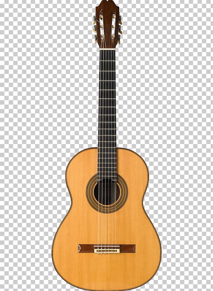 Acoustic Guitar Classical Guitar String Instruments Twelve-string Guitar PNG, Clipart, Acoustic Electric Guitar, Classical Guitar, Cuatro, Cutaway, Guitar Accessory Free PNG Download