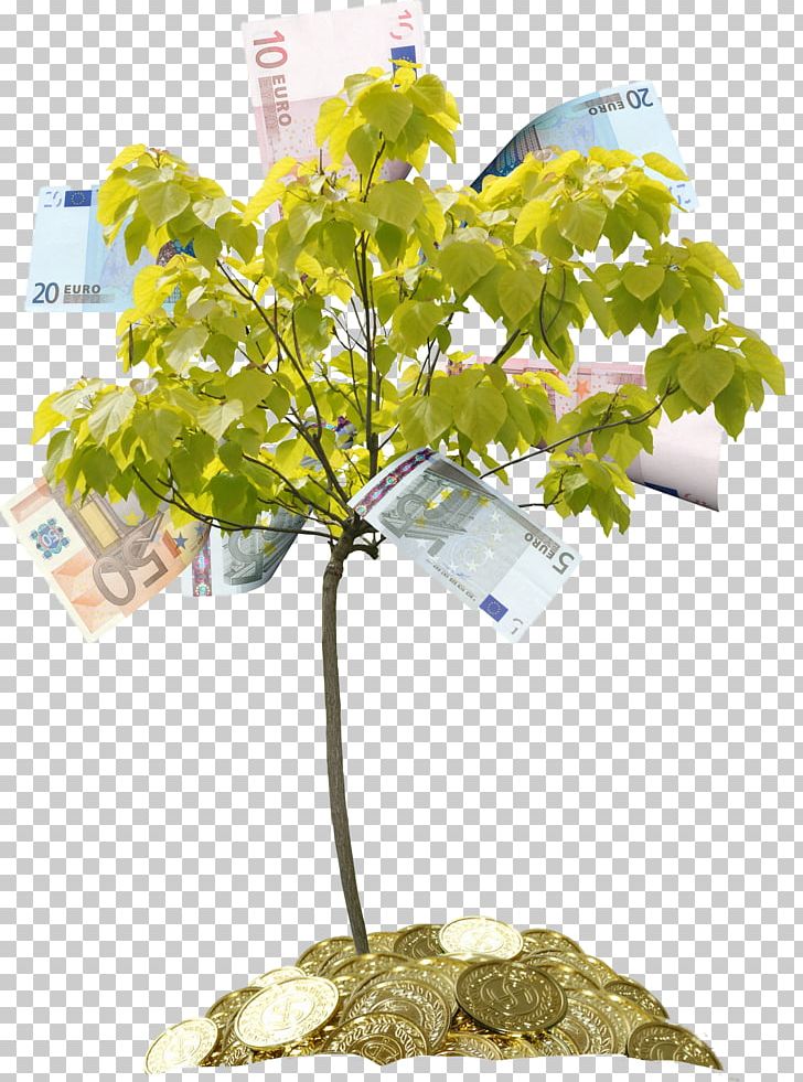 Portable Network Graphics Tree Branch PNG, Clipart, Branch, Conifers, Encapsulated Postscript, Fir, Flower Free PNG Download
