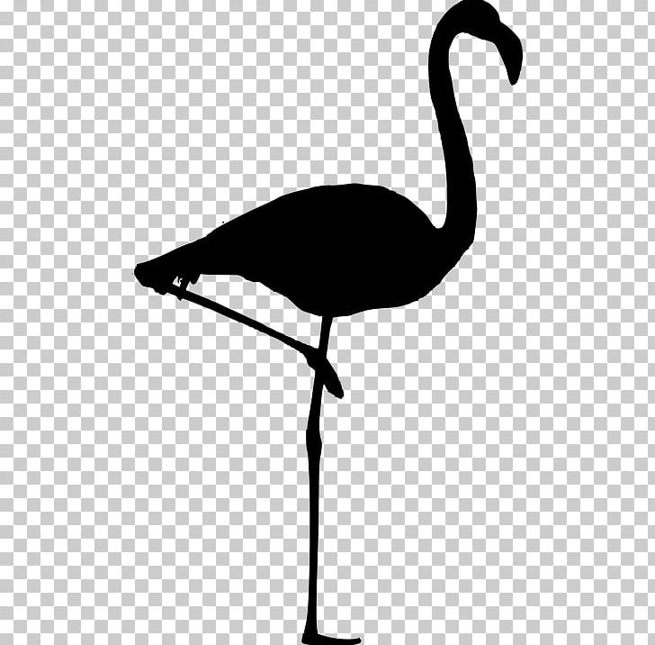 Bird Goose Silhouette Flamingo PNG, Clipart, Animals, Beak, Bird, Black And White, Crane Like Bird Free PNG Download