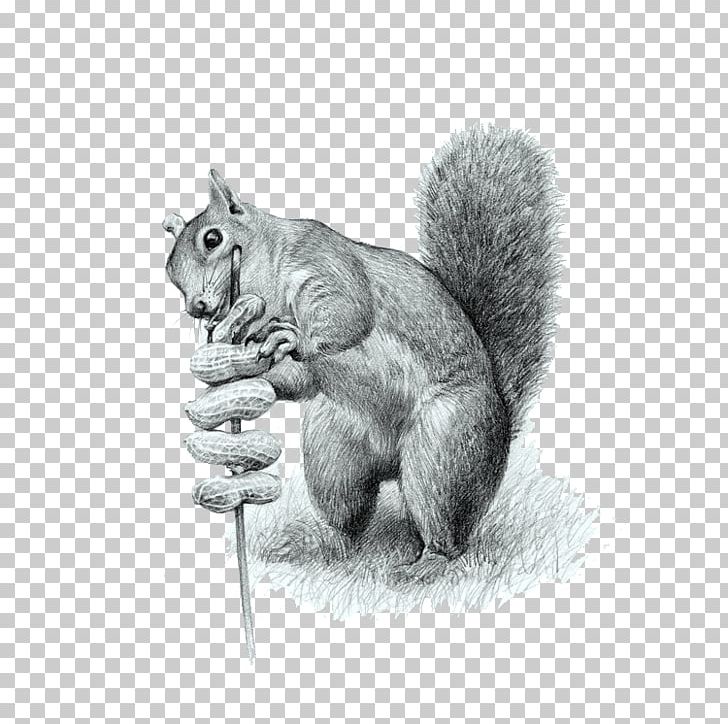 Cat Tree Squirrels Drawing Computer File PNG, Clipart, Animal, Animals, Baby Eating, Black And White, Cat Free PNG Download