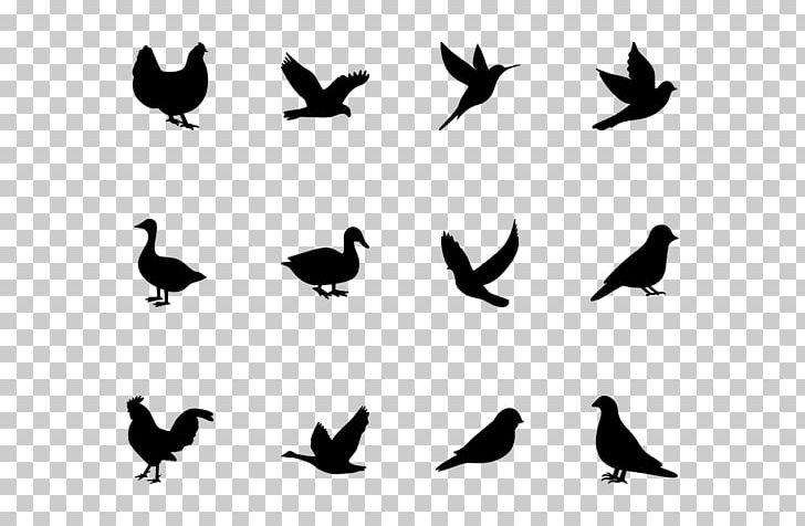 Water Bird Beak Black Silhouette PNG, Clipart, Beak, Bird, Black, Black And White, Color Free PNG Download