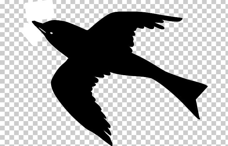 Bird Flight Bird Flight Goose PNG, Clipart, Beak, Bird, Bird Flight, Black And White, Drawing Free PNG Download