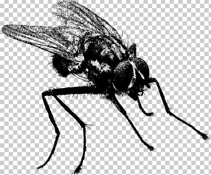 Mosquito T-shirt PNG, Clipart, Arthropod, Artwork, Bee, Black And White, Download Free PNG Download