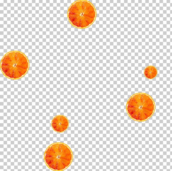 Orange Gratis PNG, Clipart, Circle, Computer, Computer Wallpaper, Download, Fruit Free PNG Download