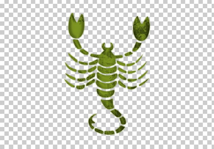 Scorpio Astrological Sign Zodiac Horoscope Sagittarius PNG, Clipart, Amphibian, Aquarius, Astrological Sign, Astrology, Cancer Free PNG Download
