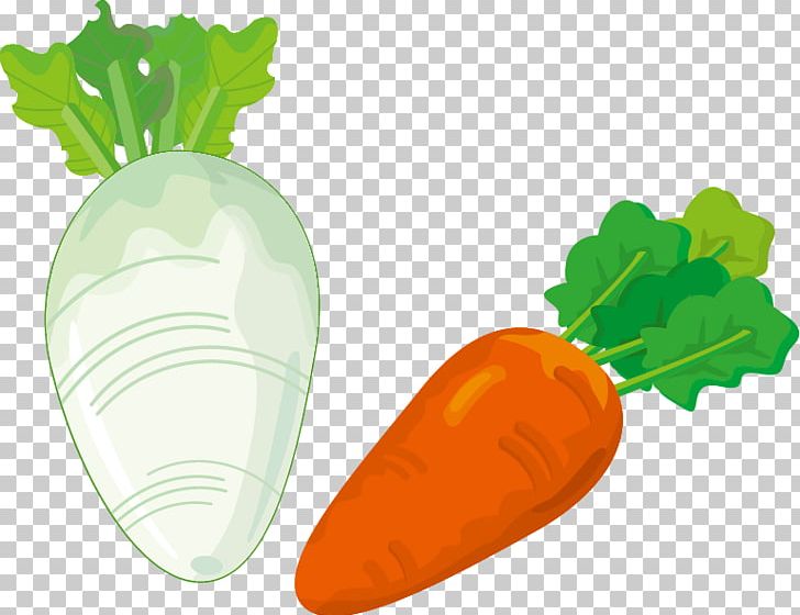 Ukha Fish Soup Carrot PNG, Clipart, Black White, Carrot Vector, Download, Drawing, Fish Free PNG Download