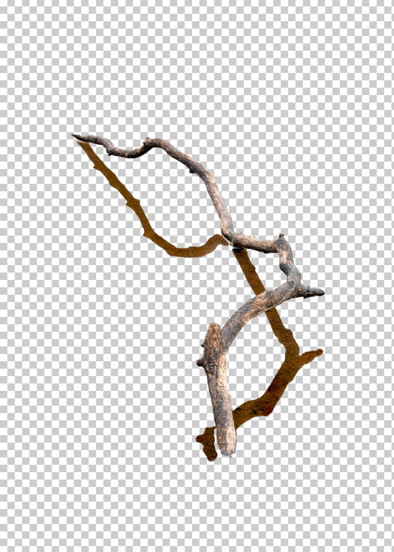 Twig /m/083vt Tree Wood PNG, Clipart, M083vt, Tree, Twig, Wood Free PNG Download