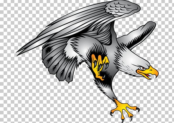 Bald Eagle Symbol Illustration PNG, Clipart, Art, Bald Eagle, Beak, Bird, Bird Of Prey Free PNG Download